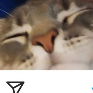 Meet your Posher, Tanner